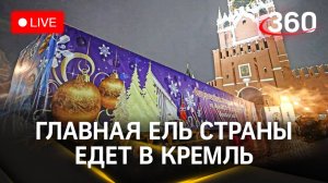 Главная елка России едет в Кремль из Подмосковья. Трансляция