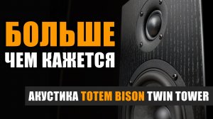 Больше чем кажется: Totem Bison Twin Tower