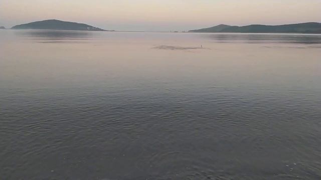 Приморский край,Хасанский район,бухта Троицы, база отдыха Лагуна. 04.07.22. 06:00 смотреть онлайн