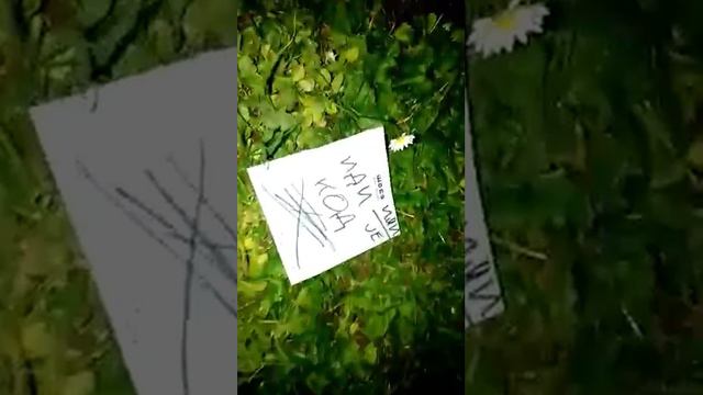 16. август 2017. смотреть онлайн