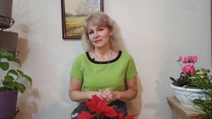 КАКИЕ ЦВЕТЫ ПОСАДИТЬ В ТЕНИ