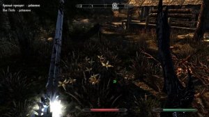 Skyrim SE ч78 Такс чето лаги продолжаются