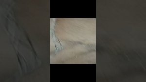 Ходим по стройке с Шреком