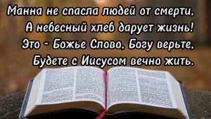 ✅ ХРИСТИАНСКИЙ СТИХ! "Небесный хлеб" Стихотворение. „ОЧЕНЬ" "ТРОГАТЕЛЬНО" "Христианские стихи" "New