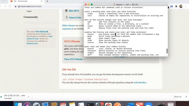 Git Bash Installation and basic settings смотреть онлайн