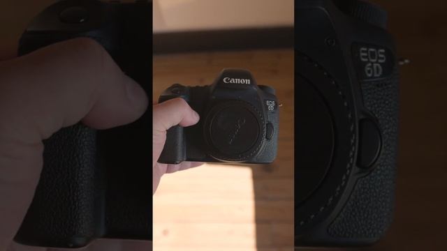 Are They Good For Sports Or Wildlife? Canon 7D Mark II vs Canon 6D смотреть онлайн