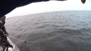 Спиннинг для смелых неожиданностей. Обзор EverGreen Squidlaw Imperial NIMS-75MH