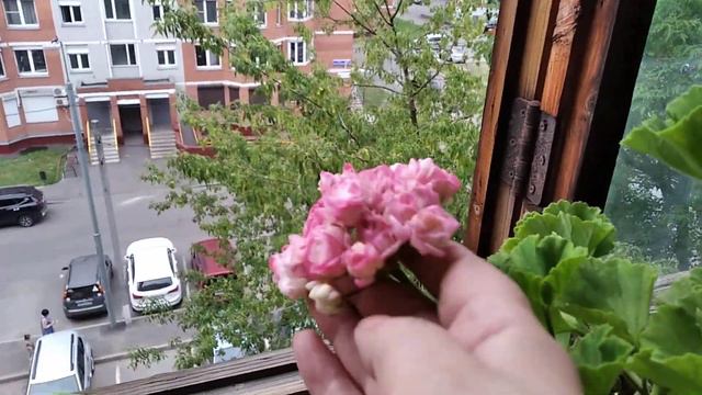 Моя лоджия 18.07.21 Смена концепции. смотреть онлайн