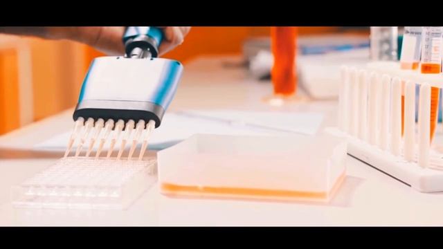 Нету Краше ушей наших-(Happy Korgi)КЛИП!на 100 подписчиков!? смотреть онлайн