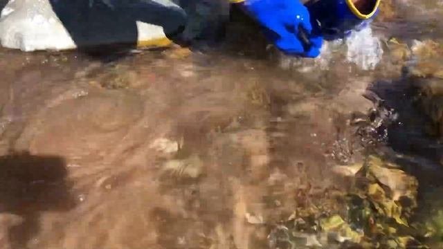 Универсальные перчатки для поисковых работ.