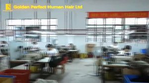 Company and Factory Introduction of Golden Perfect Human Hair  (http://www.goldenperfect.co.za)