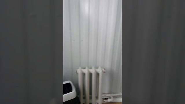 Мишина гора. Белокуриха2. 28.01.2020.