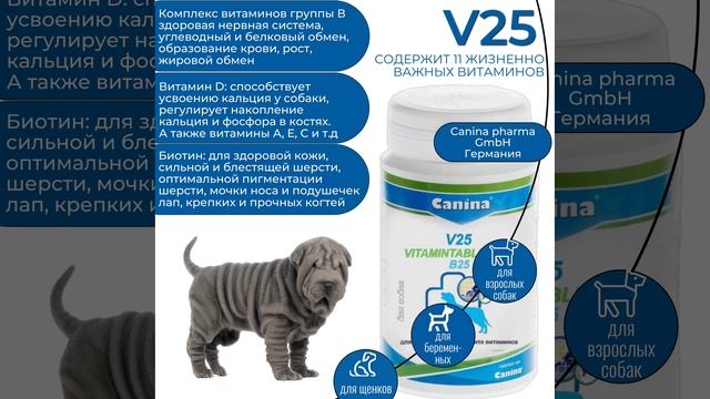 Canina V25 -поливитаминный комплекс для собак, содержит 11 важнейших витаминов для собак