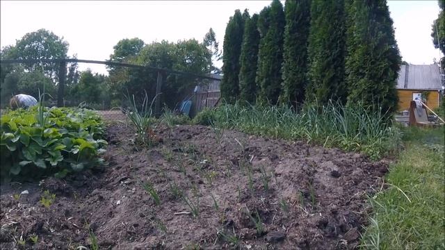 Влог #52. Дела огородные. Коровы. Рыбалка. \\ Жизнь в деревне. смотреть онлайн