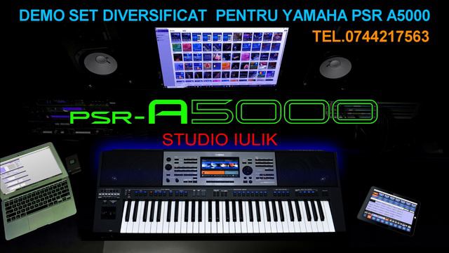 DEMO YAMAHA PSR A5000 + SET смотреть онлайн