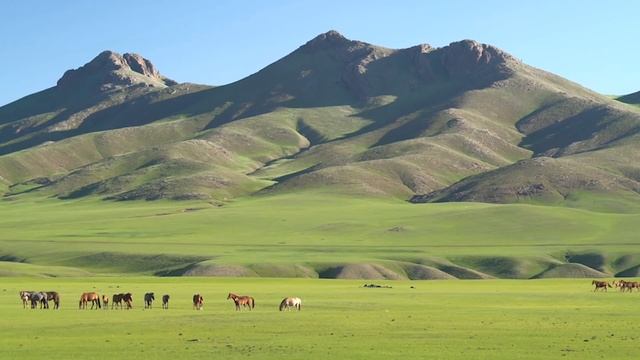 Музыка Сергея Грищука! Такая Красивая Чарующая музыка и Золотая сказка ОСЕНИ! музыка 2021 смотреть онлайн