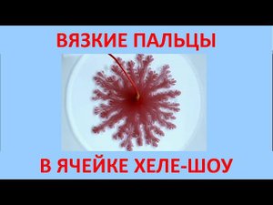 Вязкие пальцы в ячейке Хеле-Шоу