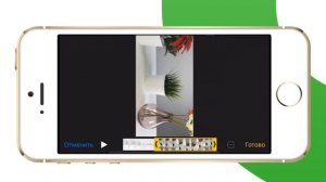 Вертикальное видео с iPhone: как исправить