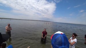 Вся правда о черноморских устрицах!Устрицы. Как едят устриц.