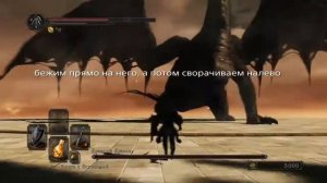 DARK SOULS II, как легко одолеть Древнего дракона