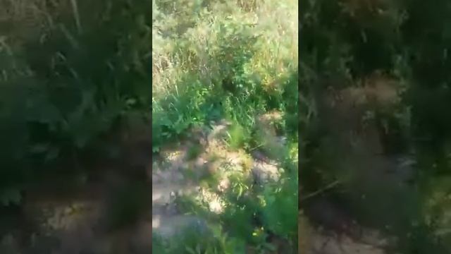 Отходы завода. Болото из гудрона - 2 смотреть онлайн