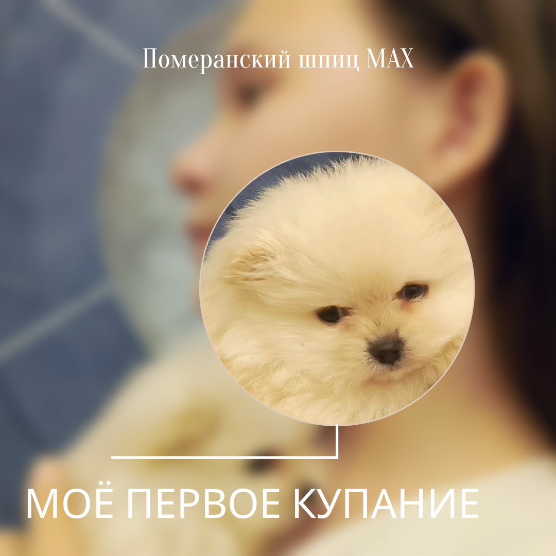 Ⲙⲟё ⲡⲉⲣⲃⲟⲉ ⲕⲩⲡⲁⲏυⲉ ?