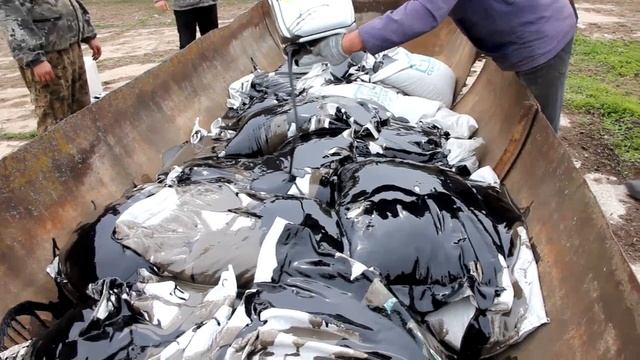 Под контролем Управления Россельхознадзора  уничтожены семена, зараженные карантинным сорняком