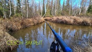 Таёжный ручей за ЧЕБАКОМ #рыбалкавсибири #таёжныйручей #чебак #мохтик #елец