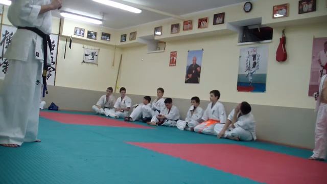 Тренировочный процесс Каратэ Кёкусинкай9 смотреть онлайн