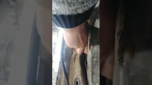 Замена топливного фильтра на гранте!