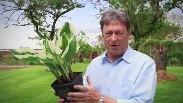 How to Divide Perennials with Alan Titchmarsh | Waitrose & Partners смотреть онлайн
