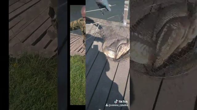 Рыбалка в Минино смотреть онлайн