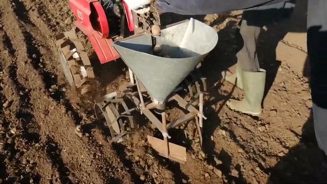 Посадка картофеля мотоблоком Ока. 2021 год!!!