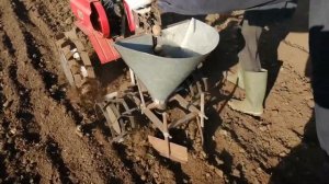 Посадка картофеля мотоблоком Ока. 2021 год!!!