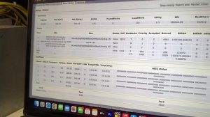 WHATSMINER M21s и L3+ ЕЩЕ АКТУАЛЬНЫ?