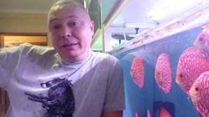 Дискусы из Одессы .