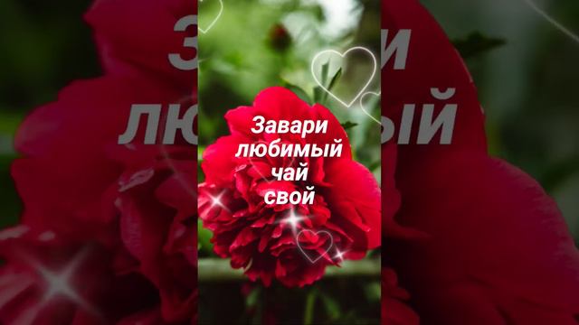 День хороший впереди👼💐♥️ #любовь #смс #видеооткрытки #пожелания #любимой  #доброеутро #друзьям