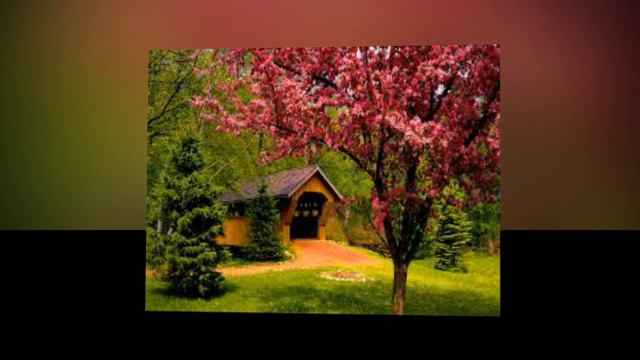 Vladimir Sterzer - For You смотреть онлайн