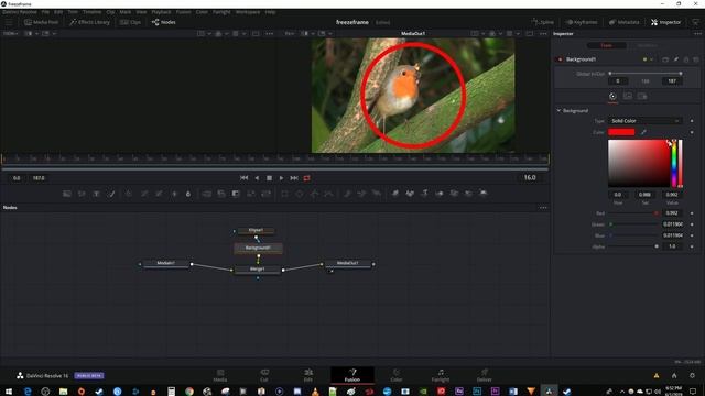How to Draw a Circle in Davinci Resolve смотреть онлайн