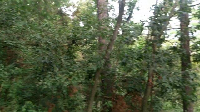 с Коропово национальный природный парк Гомольшанские леса Видео с Казацкой сопки смотреть онлайн