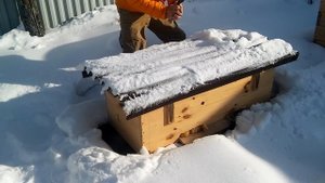 Пчелы зимуют на улице в Сибири Wintering bees in the street in Siberia