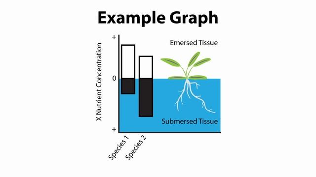 7 Tips For The Lowest Maintenance Shrimp Tank смотреть онлайн