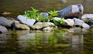 Лечебная расслабляющая музыка и журчание воды