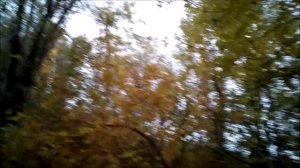 шашлык из курицы!мой рецепт!