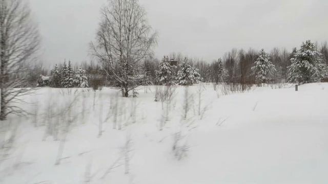 Вид из окна поезда - Прибытие на станцию Ираёль (п. Ираёль, МО Соногорск, Республика Коми),