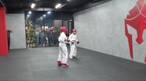 Моя Аттестация на синий пояс taekwondo itf