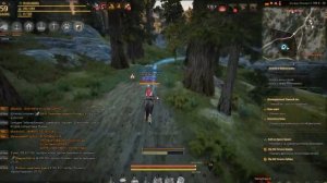 [Исследование] Темный лес. Black Desert.