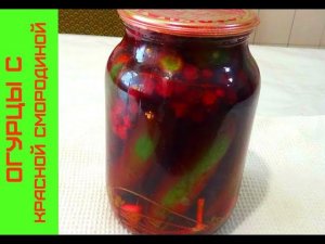 Консервация Огурцов без Уксуса с Красной Смородиной