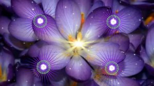 ФУТАЖ СВЕТЛЯЧКИ