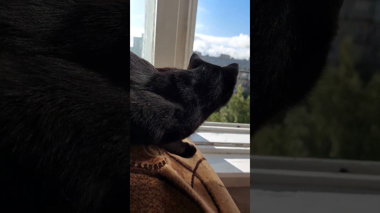 28.08.2020 смотреть онлайн